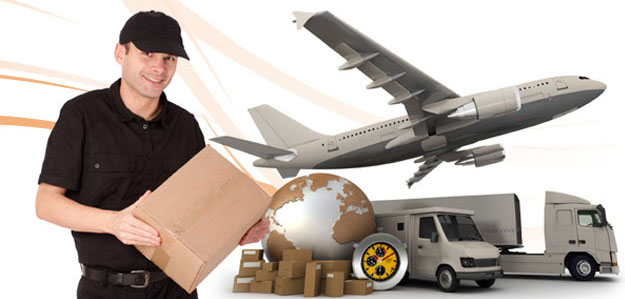 MULTIPLE SHIPMENT OPTIONS